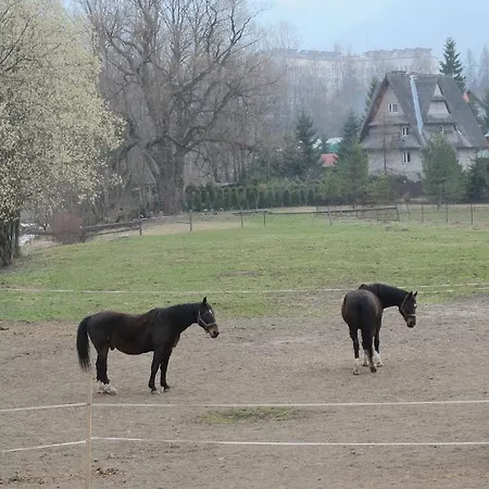 Daire Tatrytop Bambusowy Zakopane