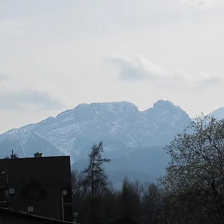 Tatrytop Bambusowy * Zakopane